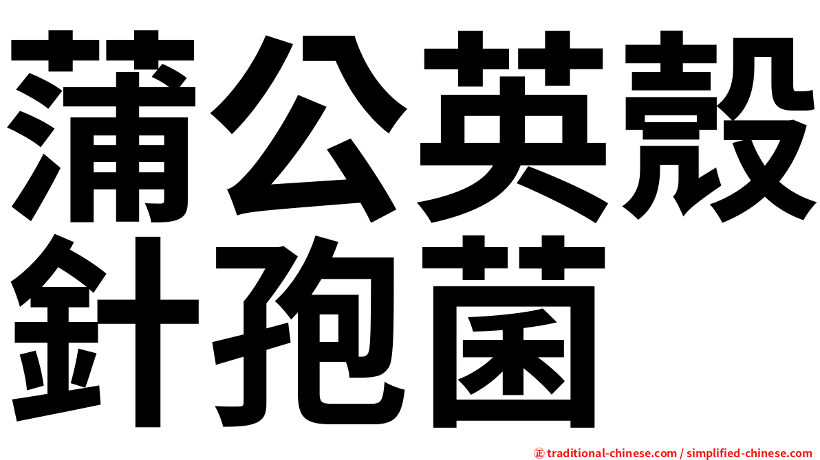 蒲公英殼針孢菌