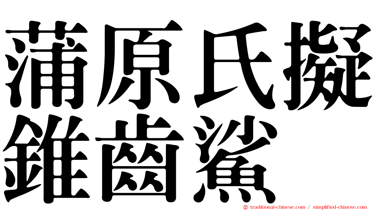 蒲原氏擬錐齒鯊