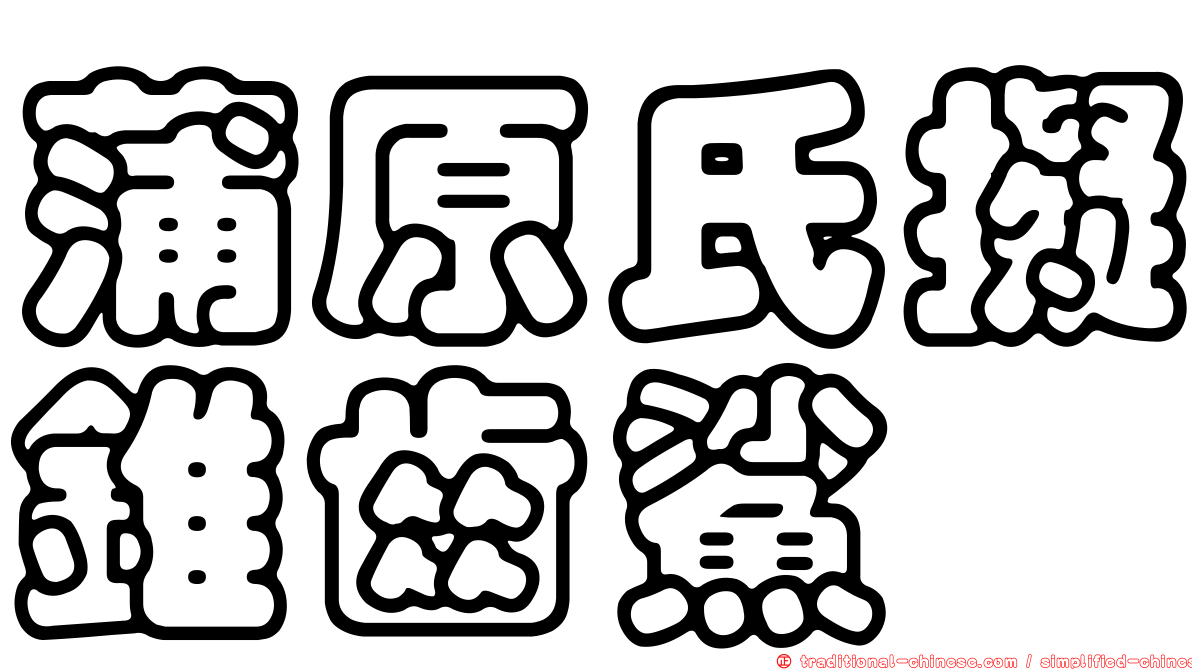 蒲原氏擬錐齒鯊