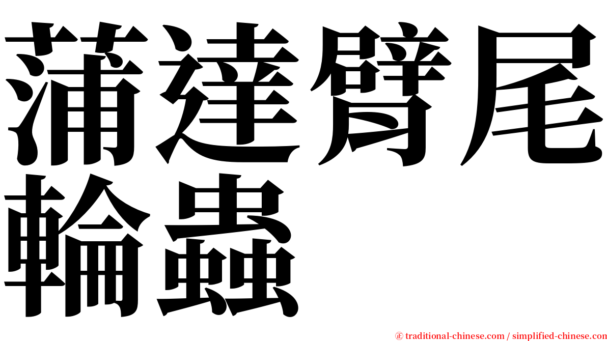 蒲達臂尾輪蟲 serif font