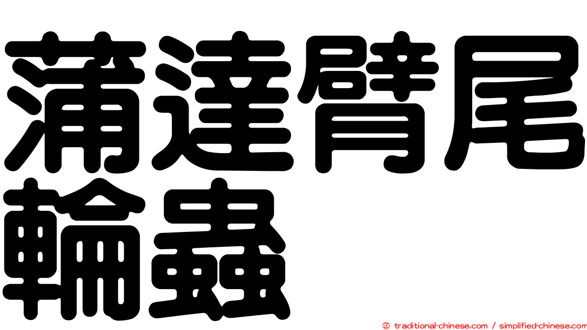 蒲達臂尾輪蟲