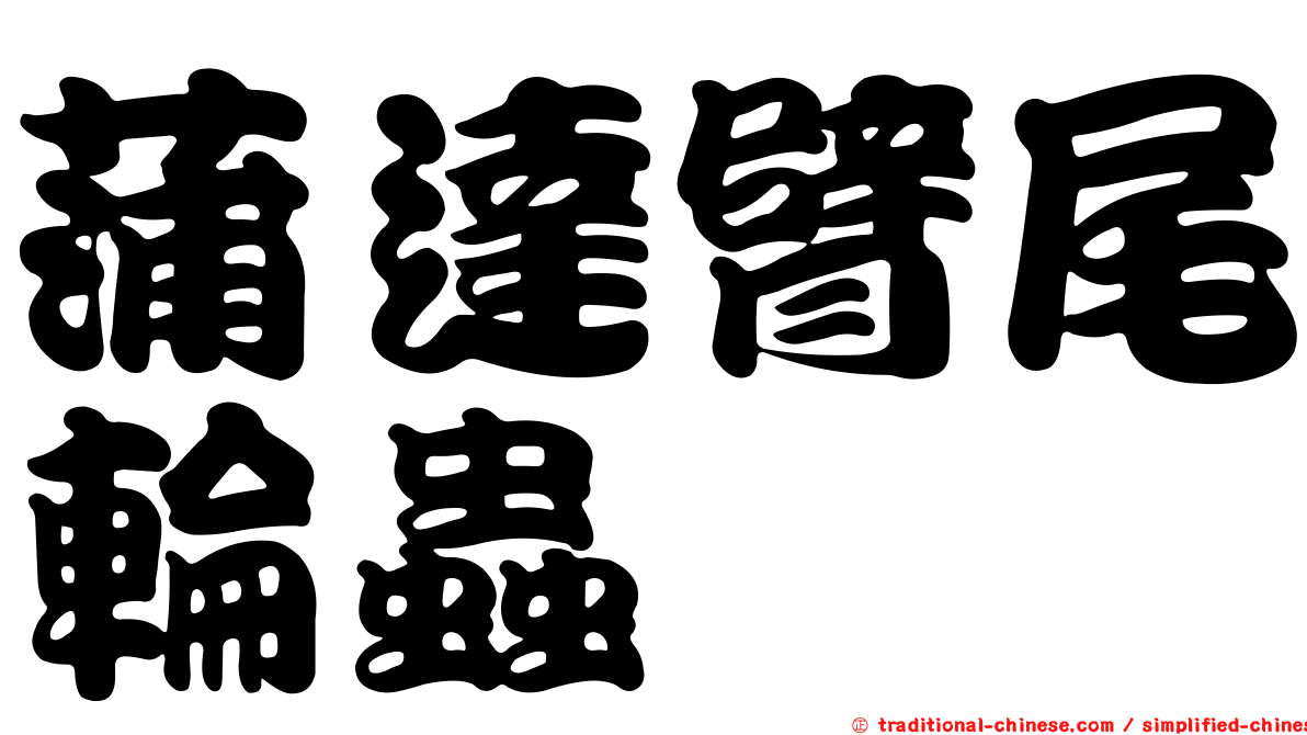 蒲達臂尾輪蟲