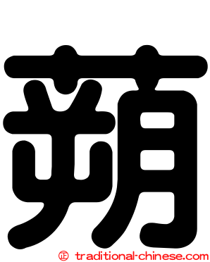 蒴
