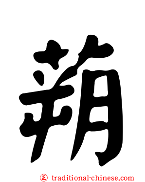 蒴