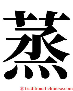 蒸 serif font