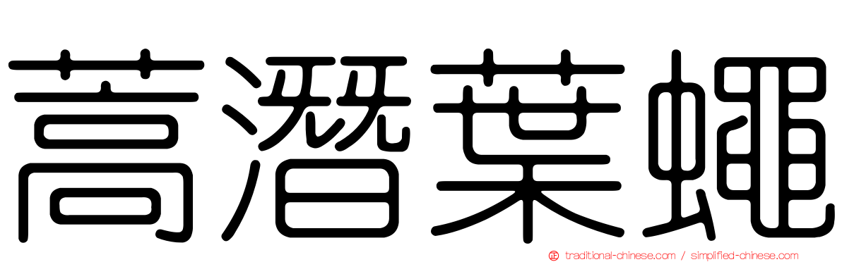 蒿潛葉蠅