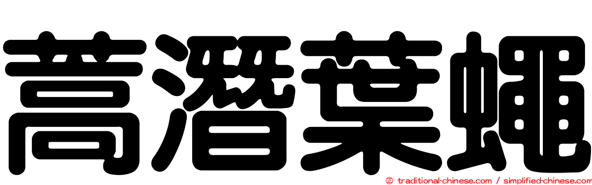 蒿潛葉蠅