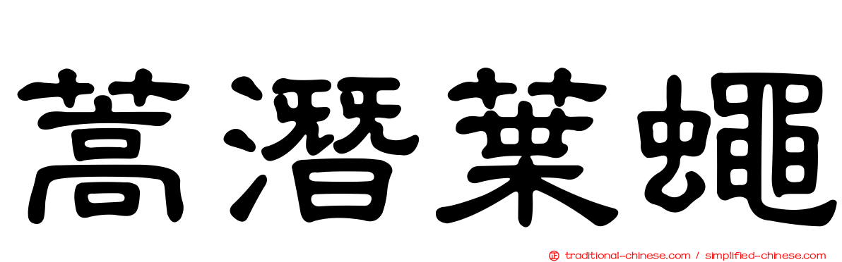 蒿潛葉蠅