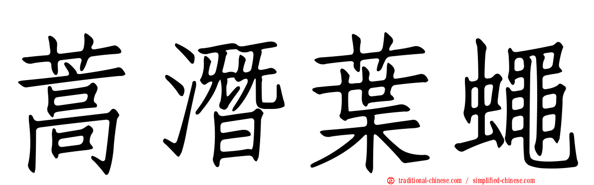 蒿潛葉蠅