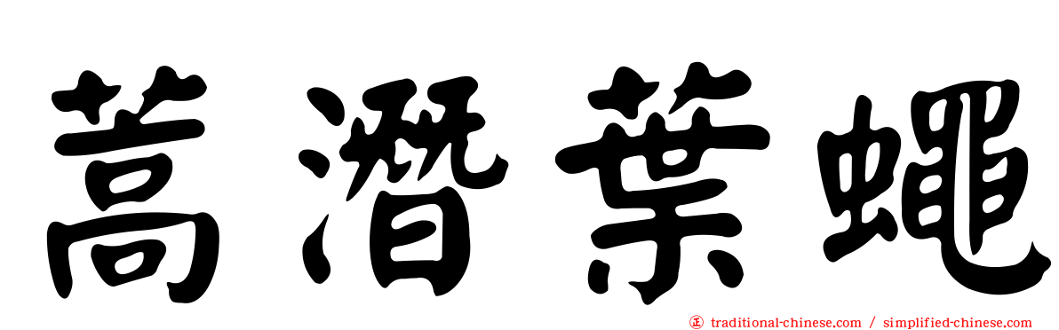 蒿潛葉蠅