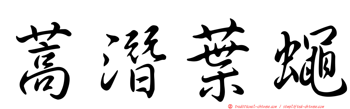 蒿潛葉蠅