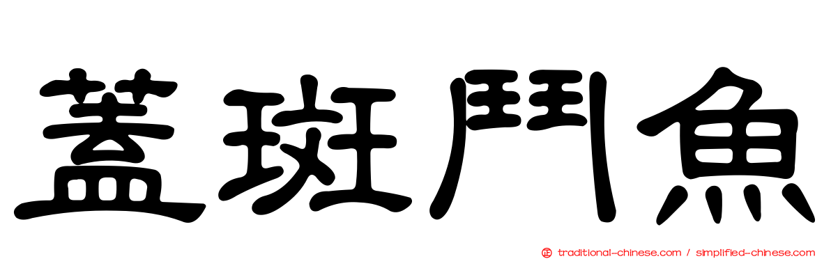 蓋斑鬥魚