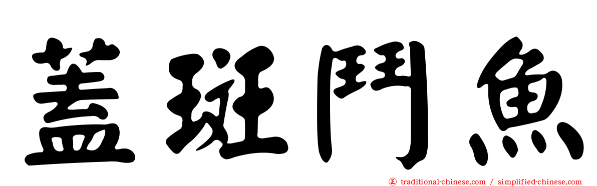 蓋斑鬥魚