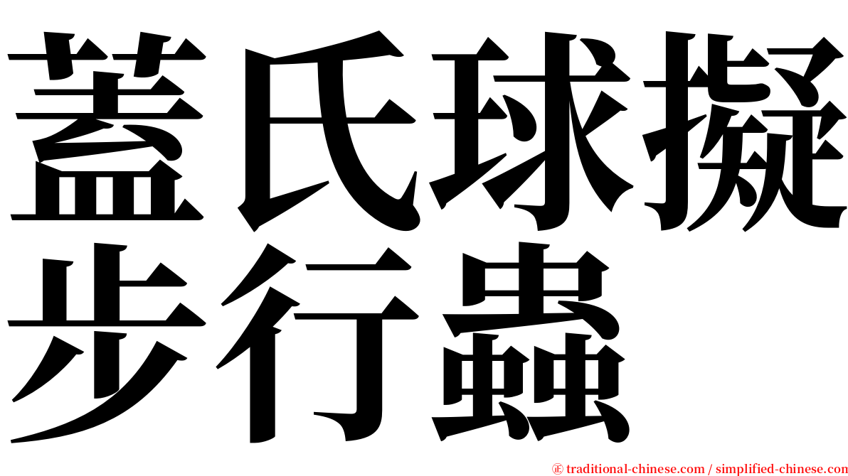 蓋氏球擬步行蟲 serif font