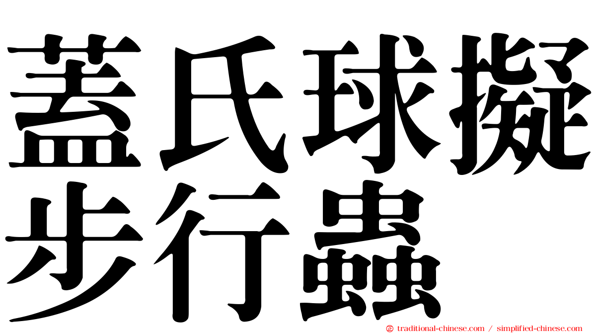 蓋氏球擬步行蟲