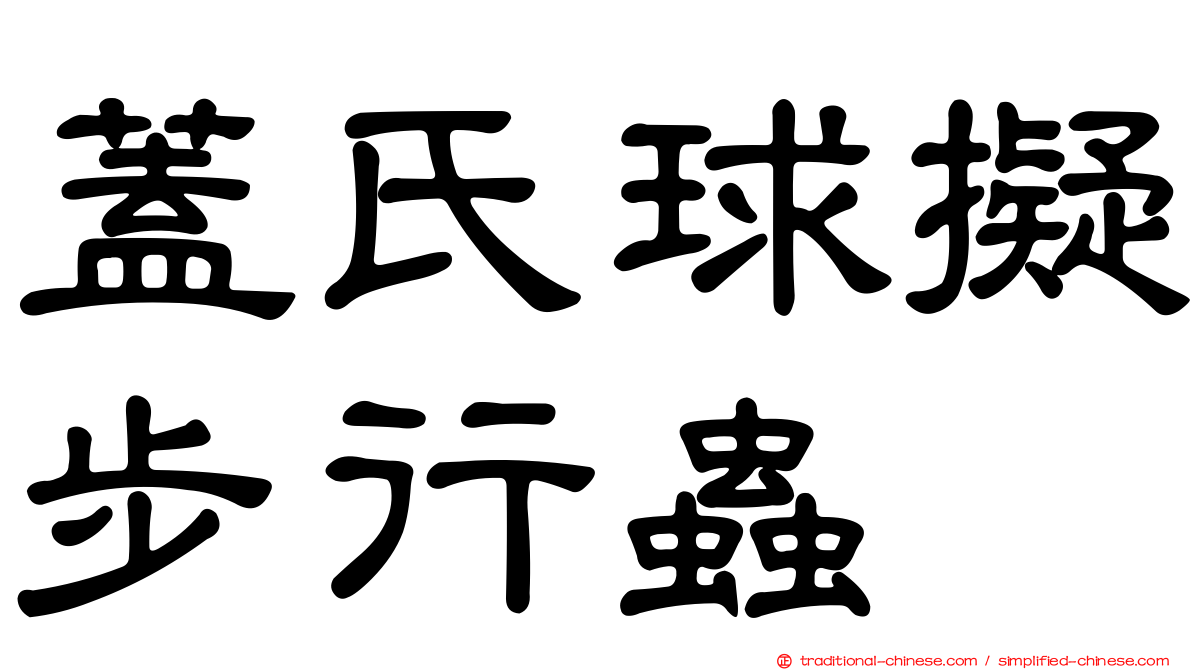 蓋氏球擬步行蟲
