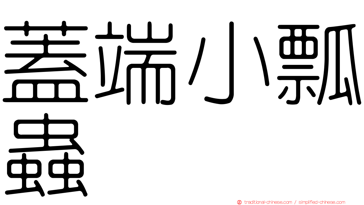 蓋端小瓢蟲