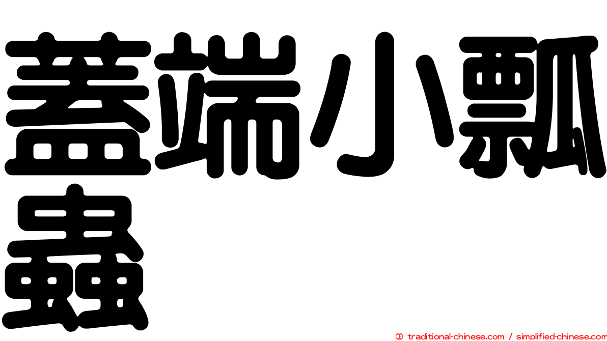 蓋端小瓢蟲