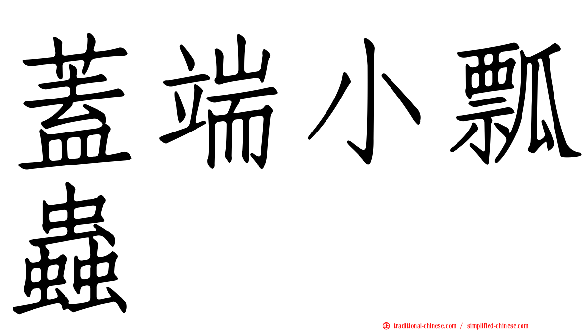 蓋端小瓢蟲