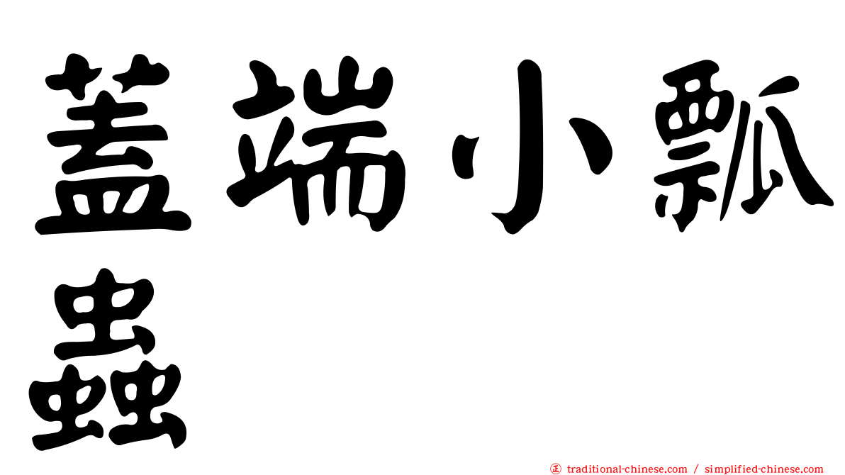 蓋端小瓢蟲