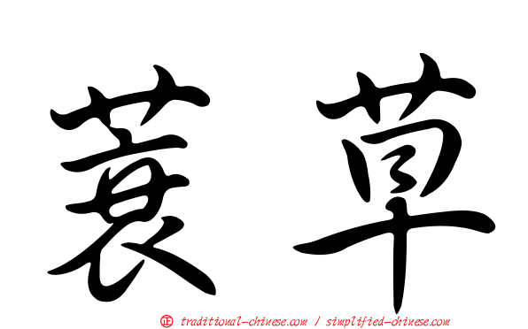 蓑草