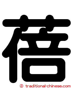 蓓