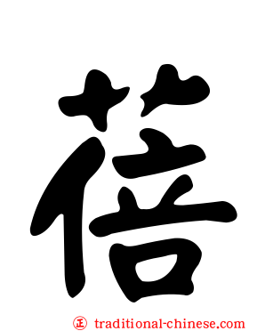 蓓