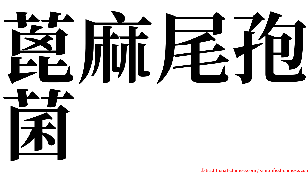 蓖麻尾孢菌 serif font