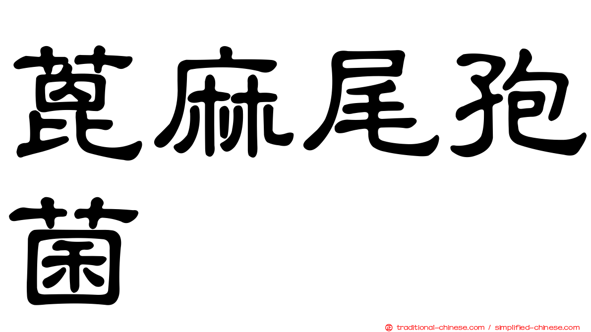 蓖麻尾孢菌