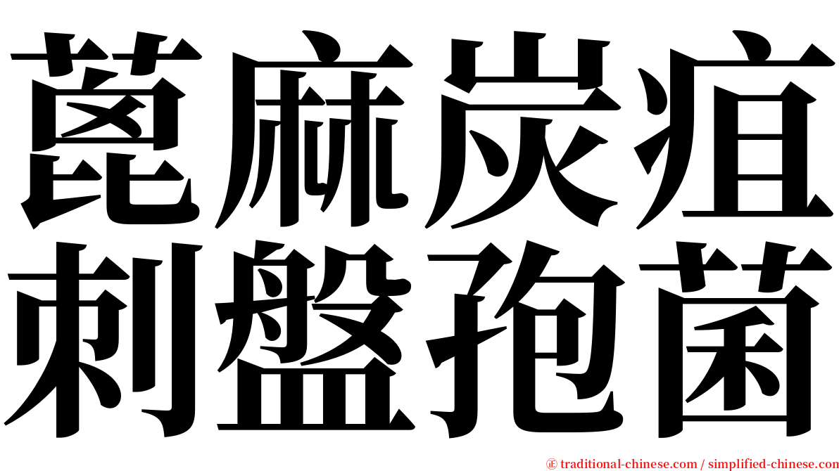 蓖麻炭疽刺盤孢菌 serif font