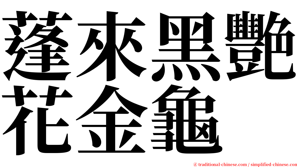 蓬來黑艷花金龜 serif font