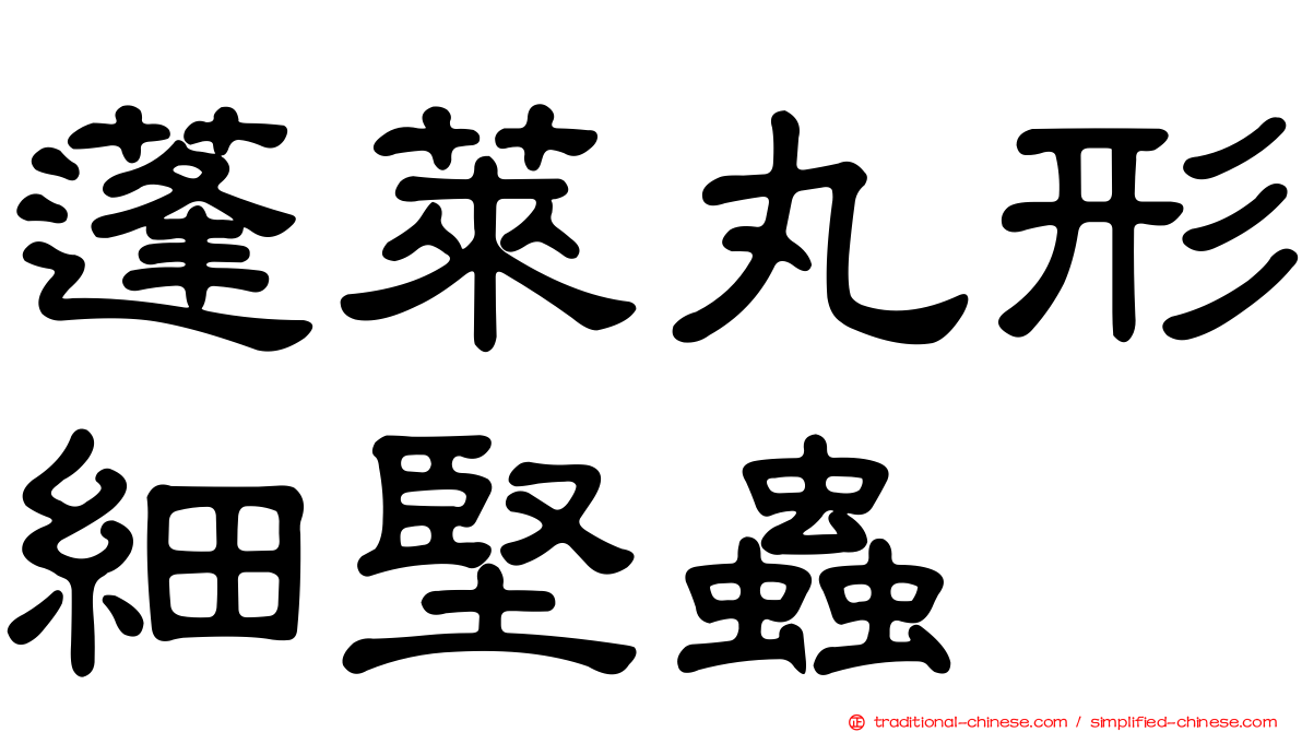 蓬萊丸形細堅蟲