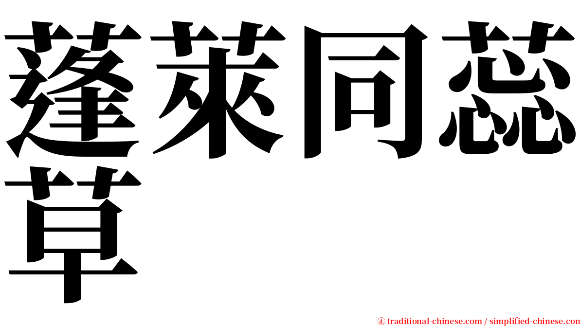蓬萊同蕊草 serif font