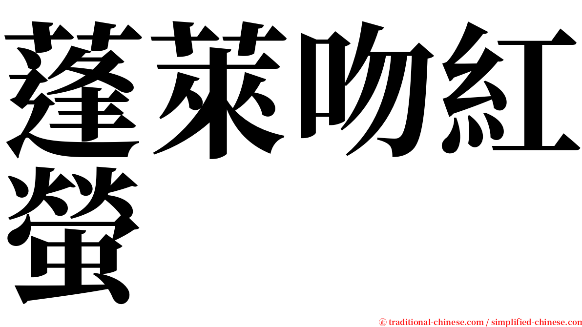 蓬萊吻紅螢 serif font