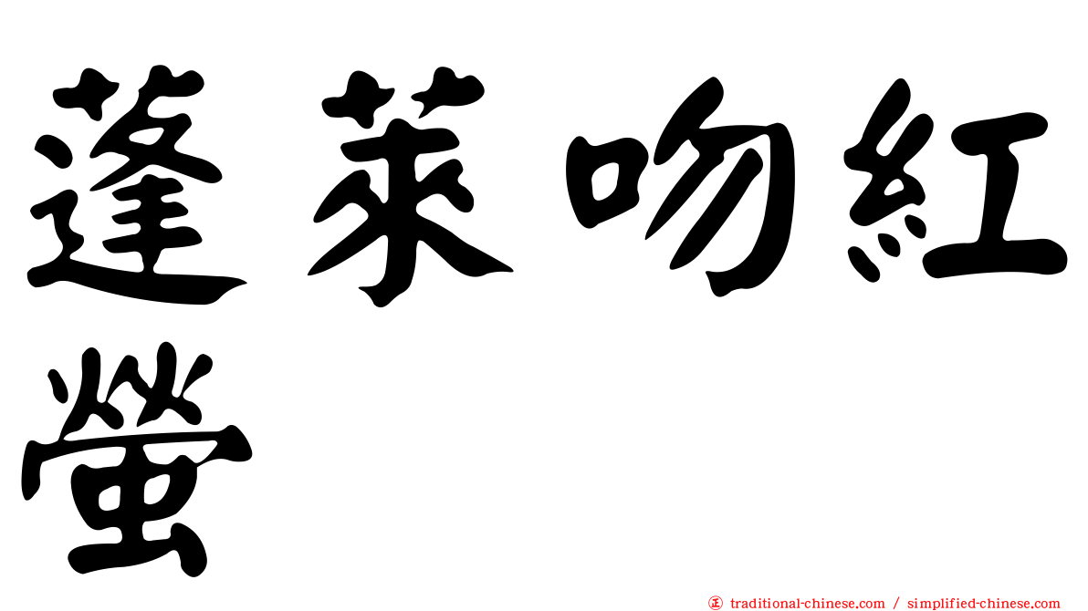 蓬萊吻紅螢