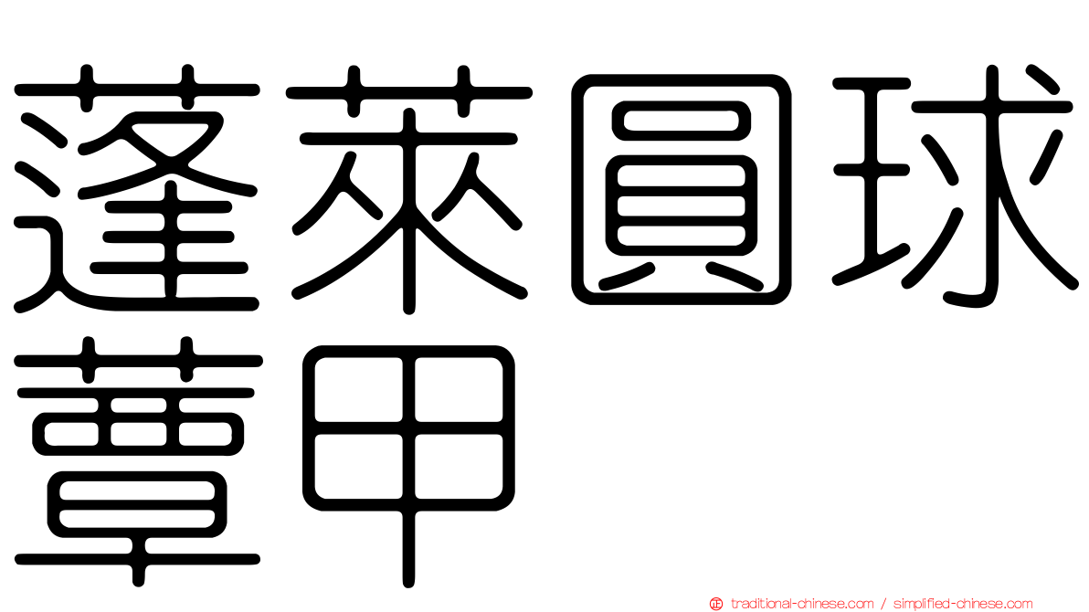 蓬萊圓球蕈甲