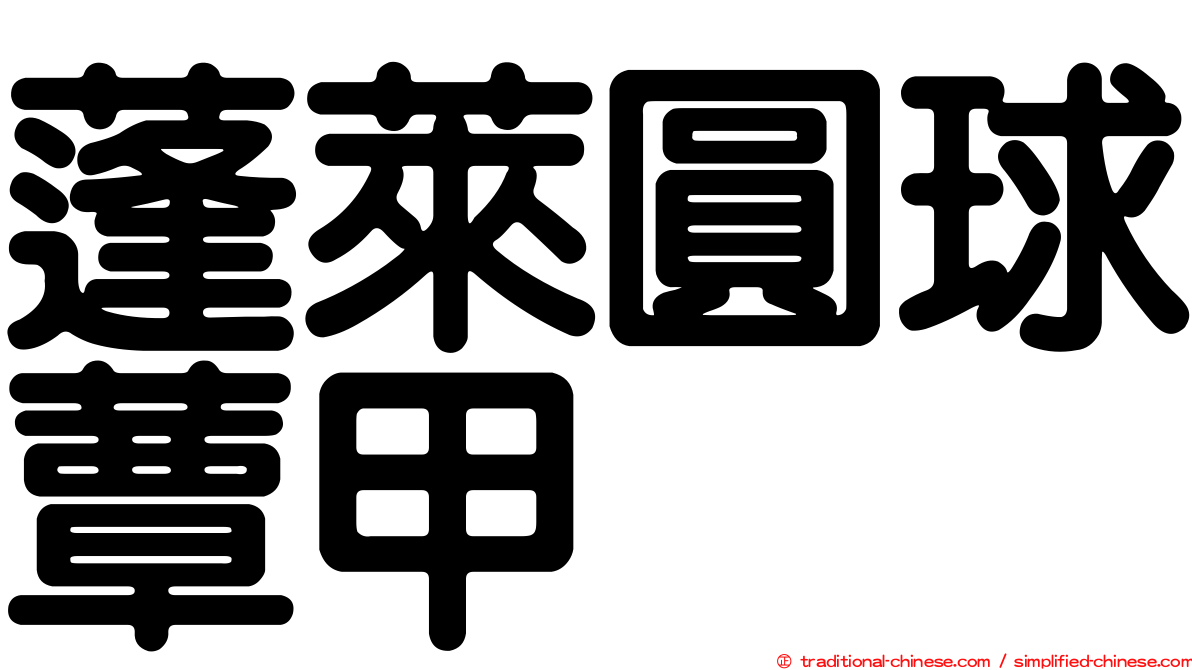 蓬萊圓球蕈甲