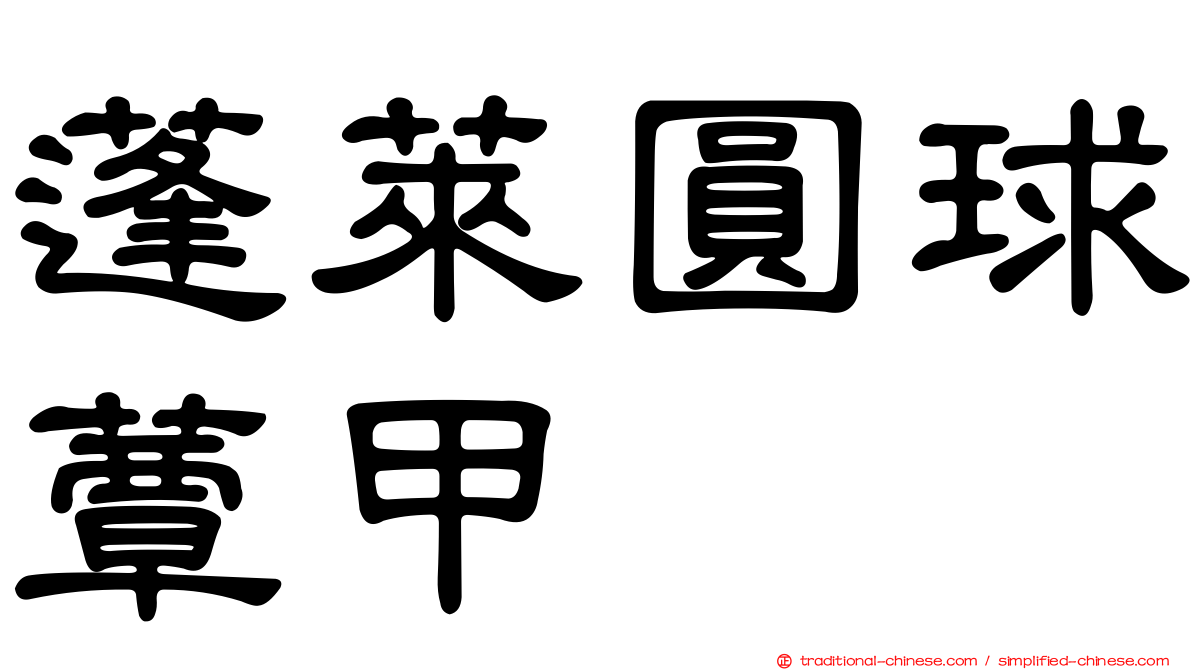 蓬萊圓球蕈甲