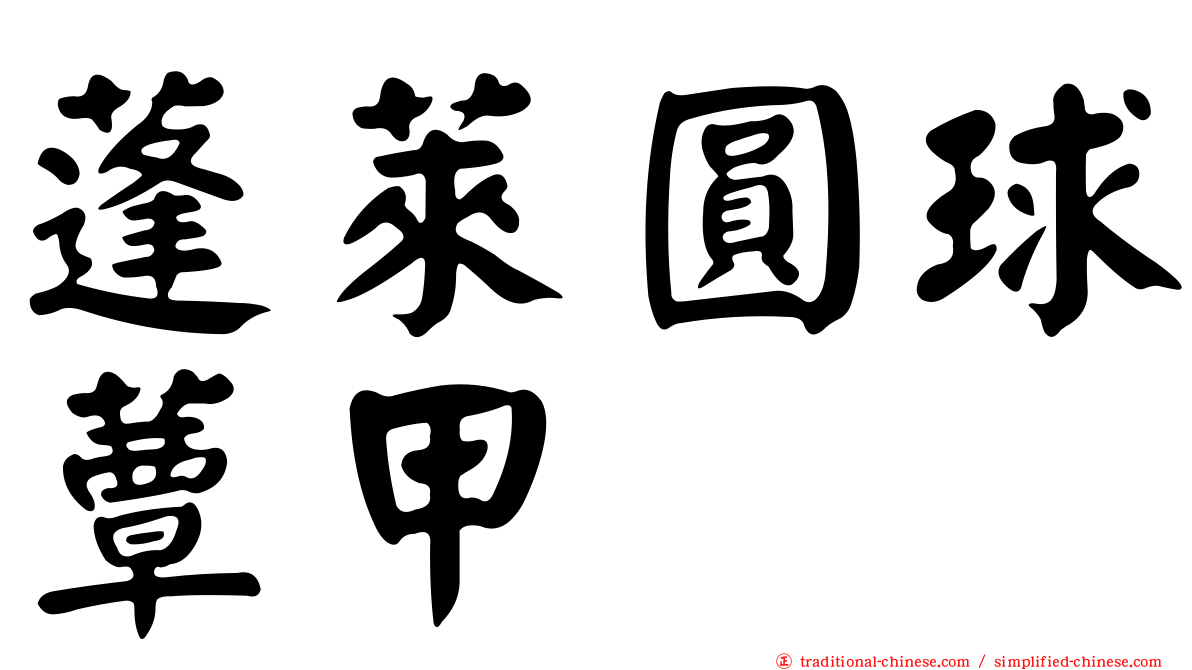 蓬萊圓球蕈甲