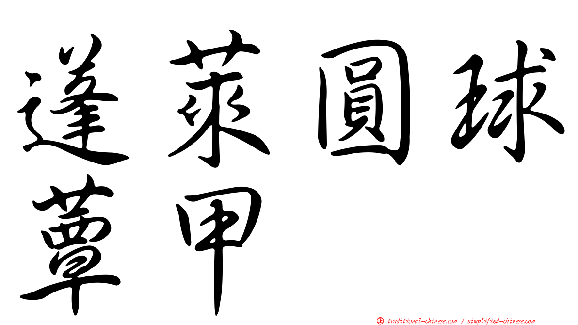 蓬萊圓球蕈甲