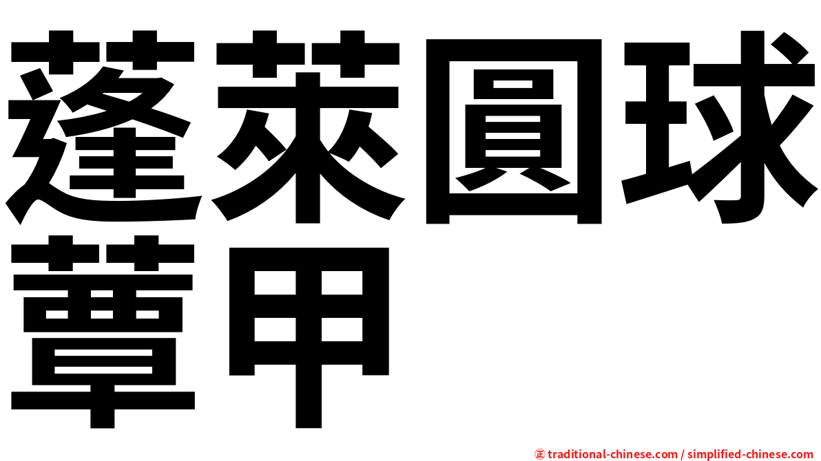 蓬萊圓球蕈甲