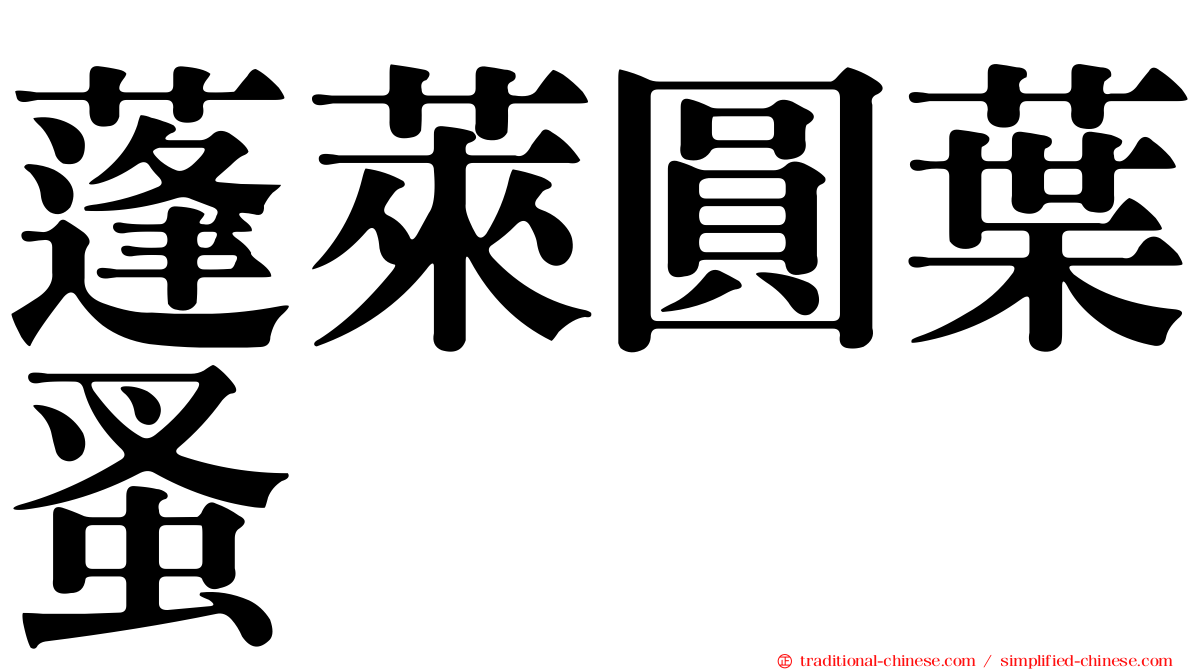 蓬萊圓葉蚤