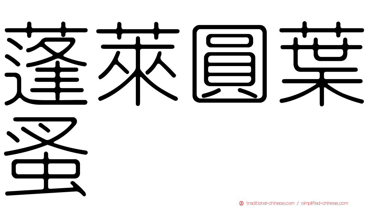 蓬萊圓葉蚤