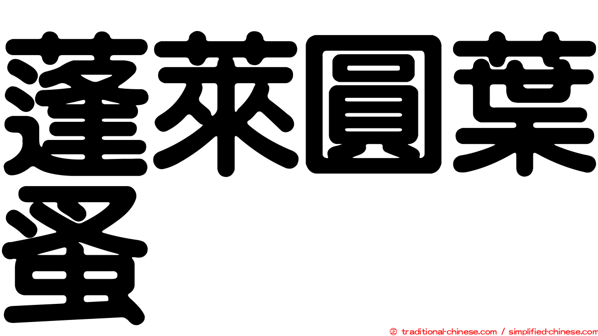 蓬萊圓葉蚤