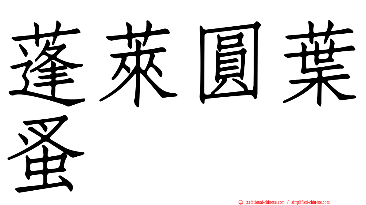 蓬萊圓葉蚤