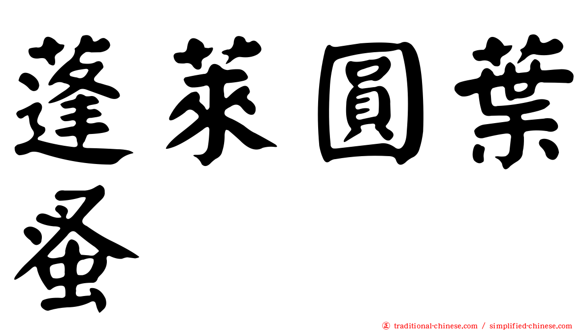 蓬萊圓葉蚤
