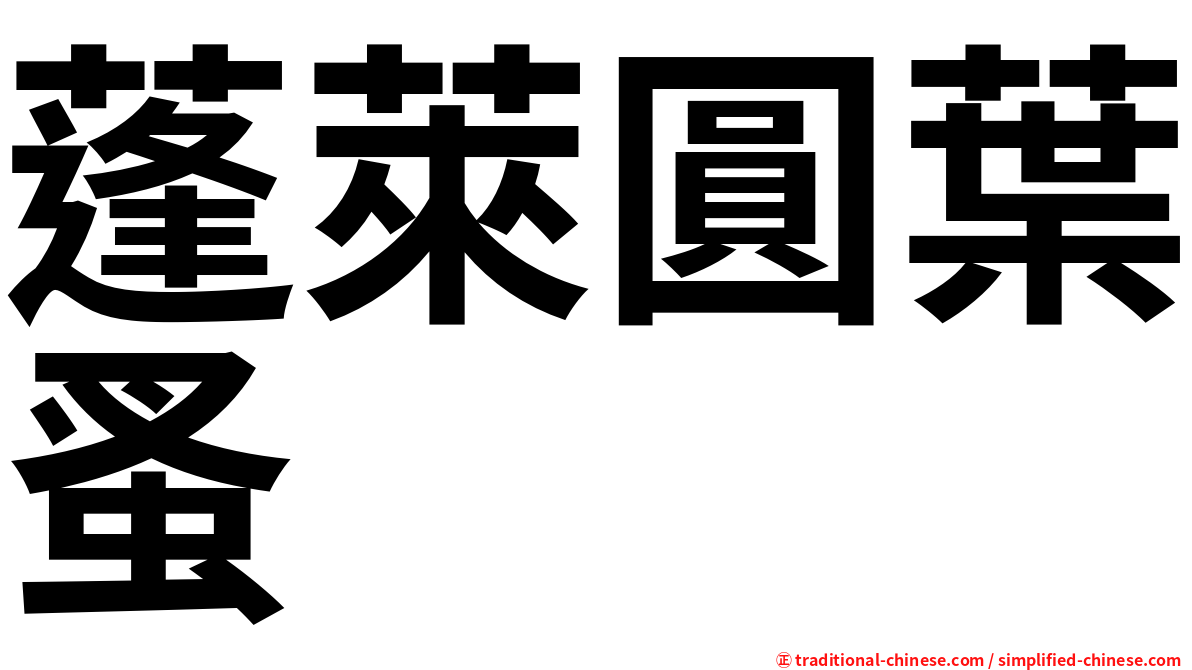 蓬萊圓葉蚤