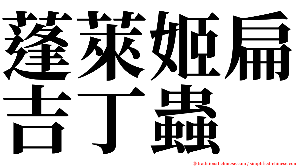 蓬萊姬扁吉丁蟲 serif font