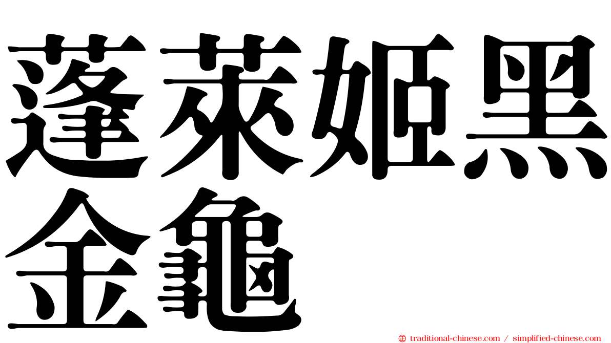 蓬萊姬黑金龜