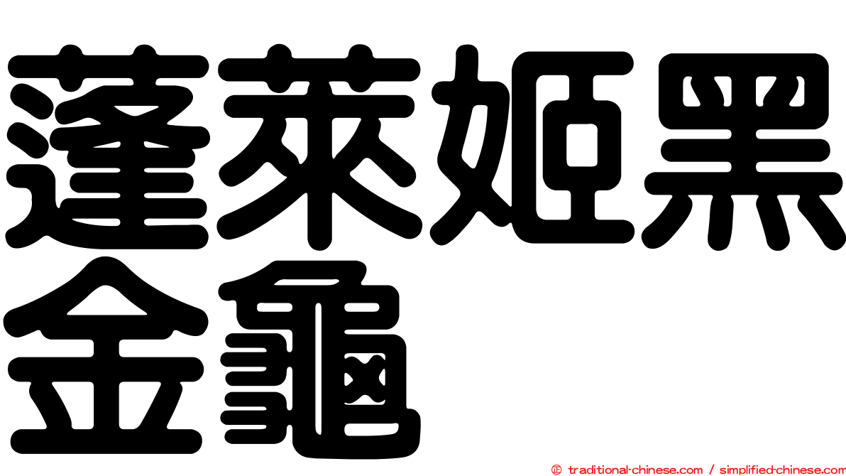 蓬萊姬黑金龜